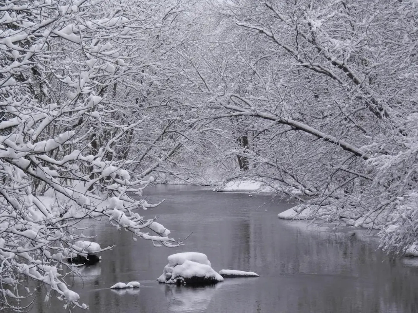 The Maples at Warner