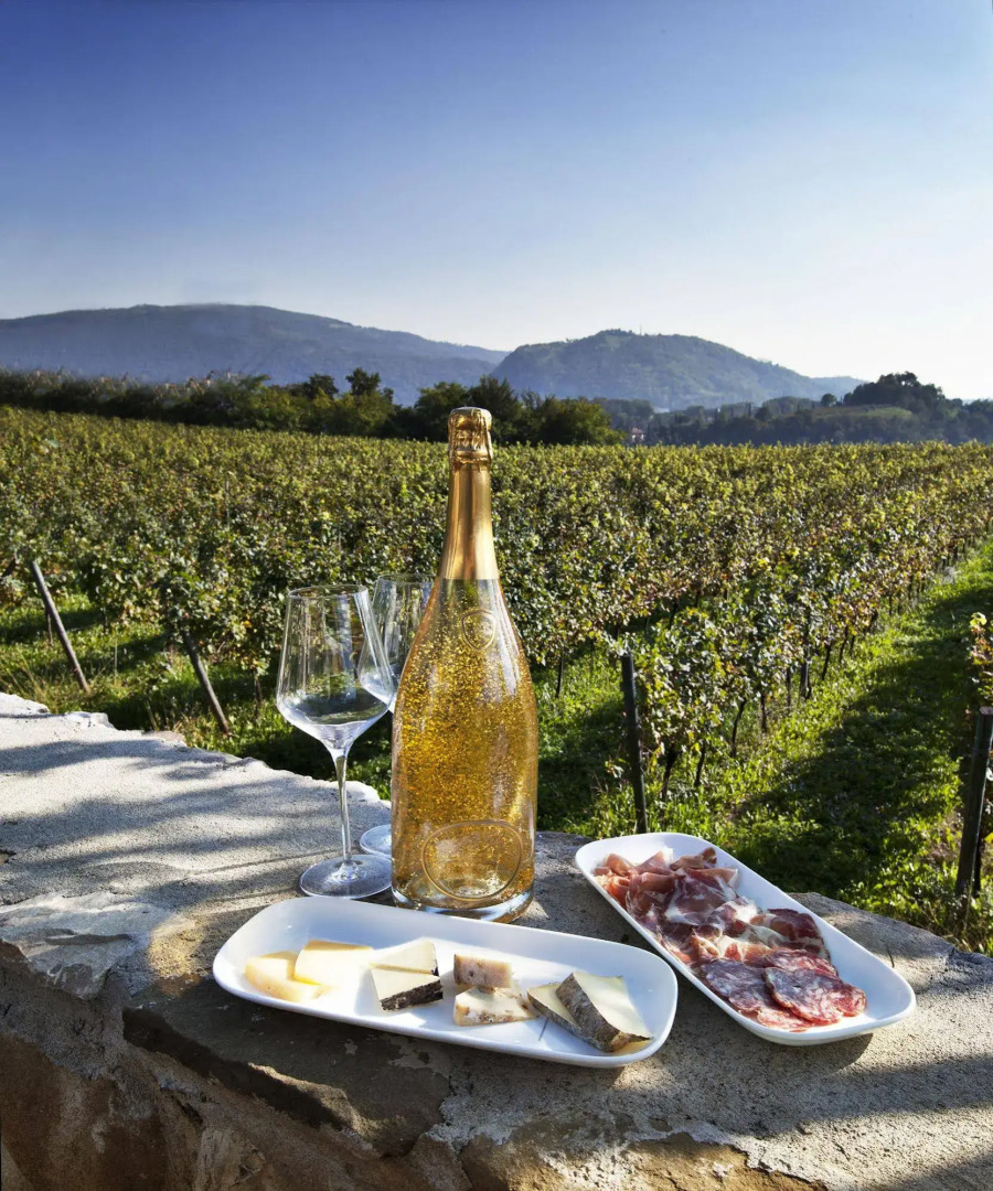 Podere Castel Merlo Resort