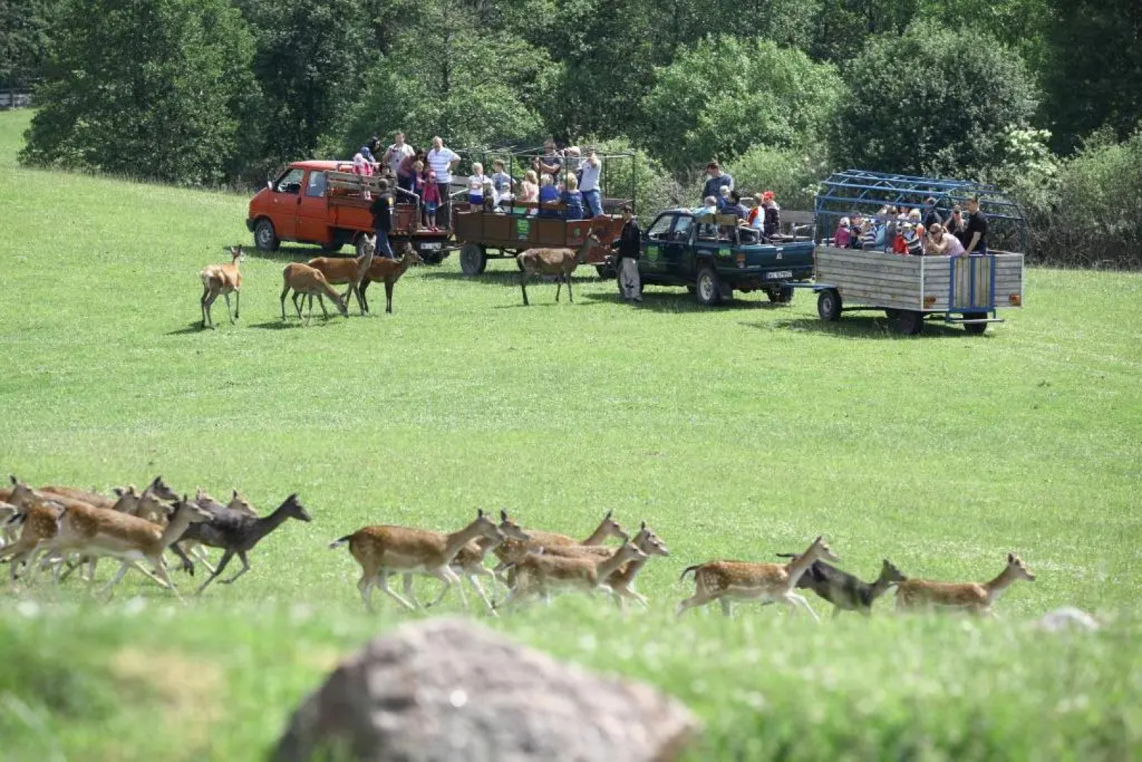 Okrągłe Resort Ski & Spa