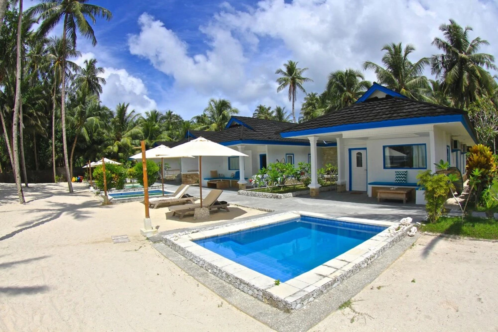 Hollow Tree's Resort