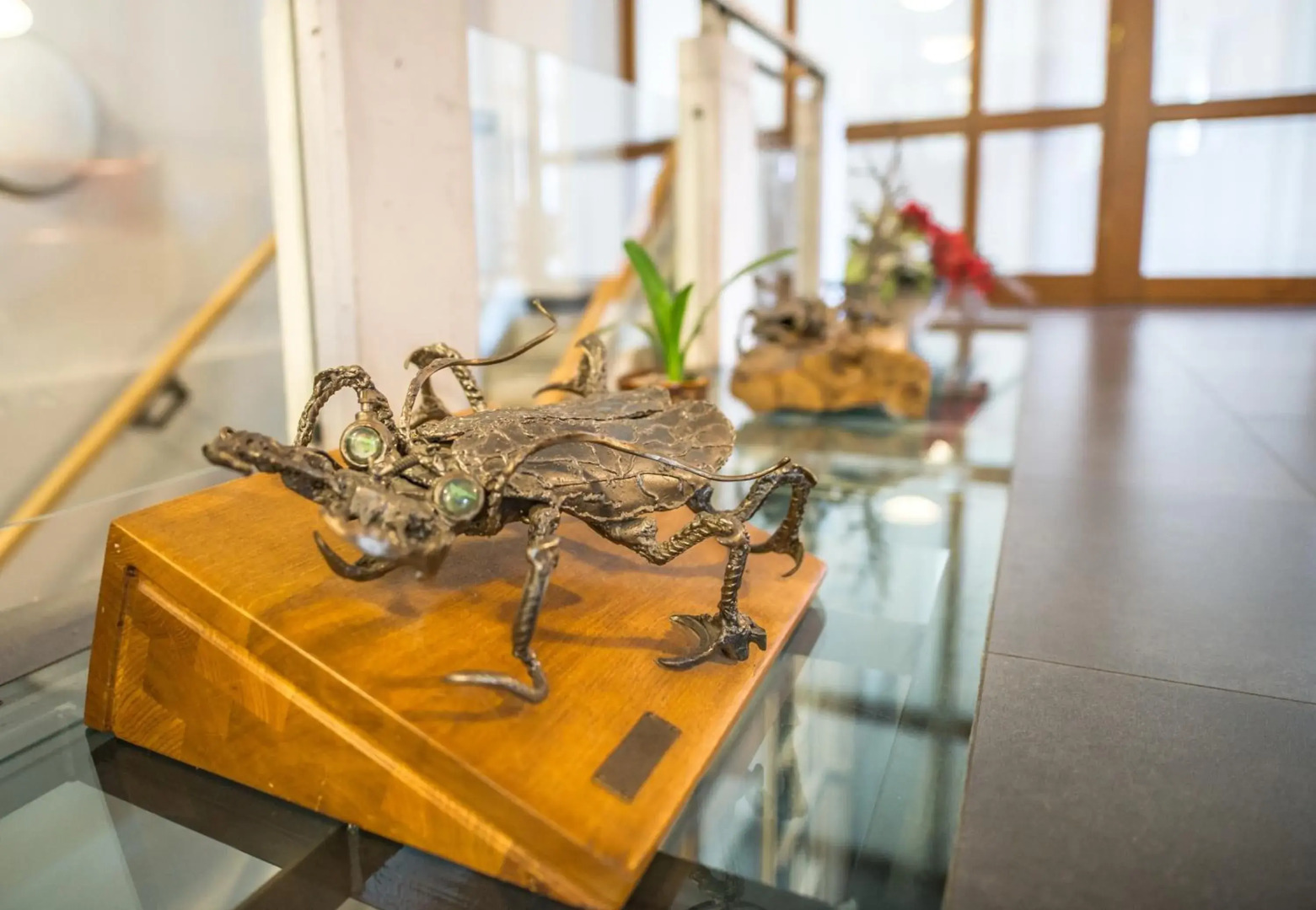 Wellness hotel Praded Thamm