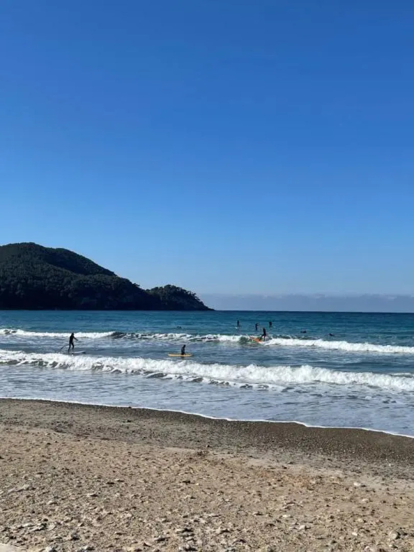 "Les Palmiers" Studio spacieux vue mer Terrasse & Parking