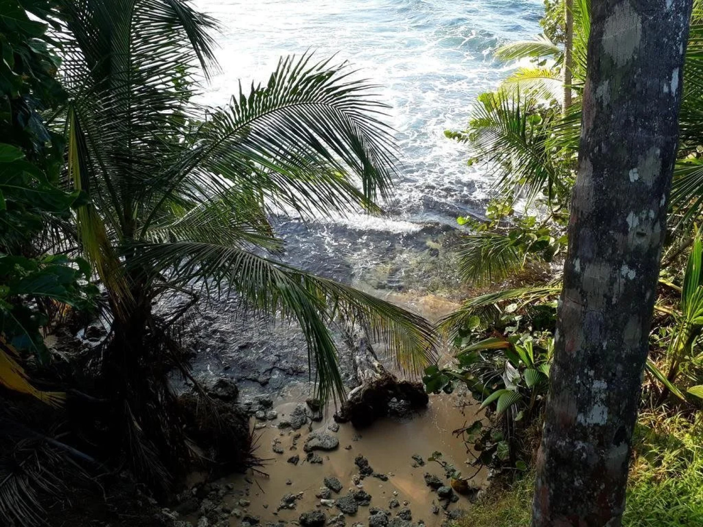 Blue Butterfly Hotel