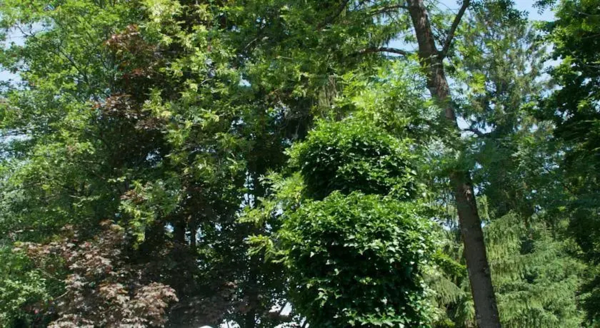 Pension Stissen Haus am See