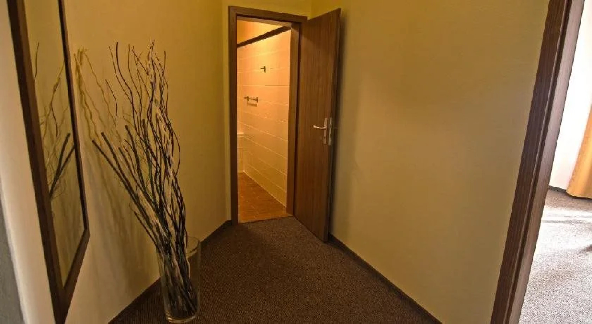 Hotel Baltaci Starý Zámek