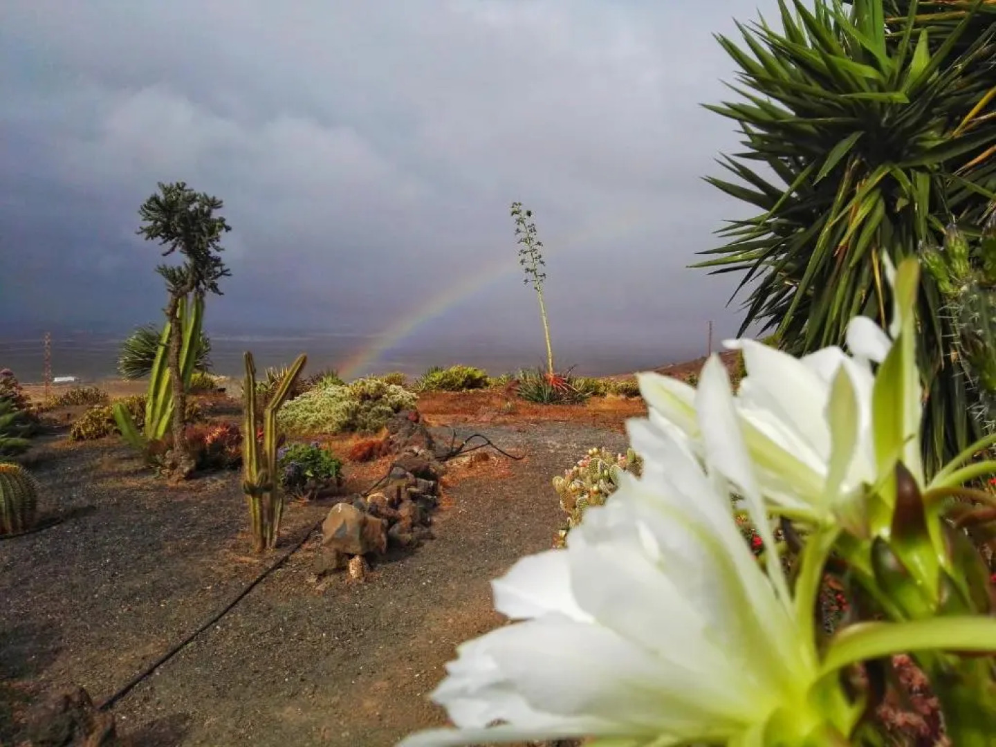 Casa Rural los Ajaches