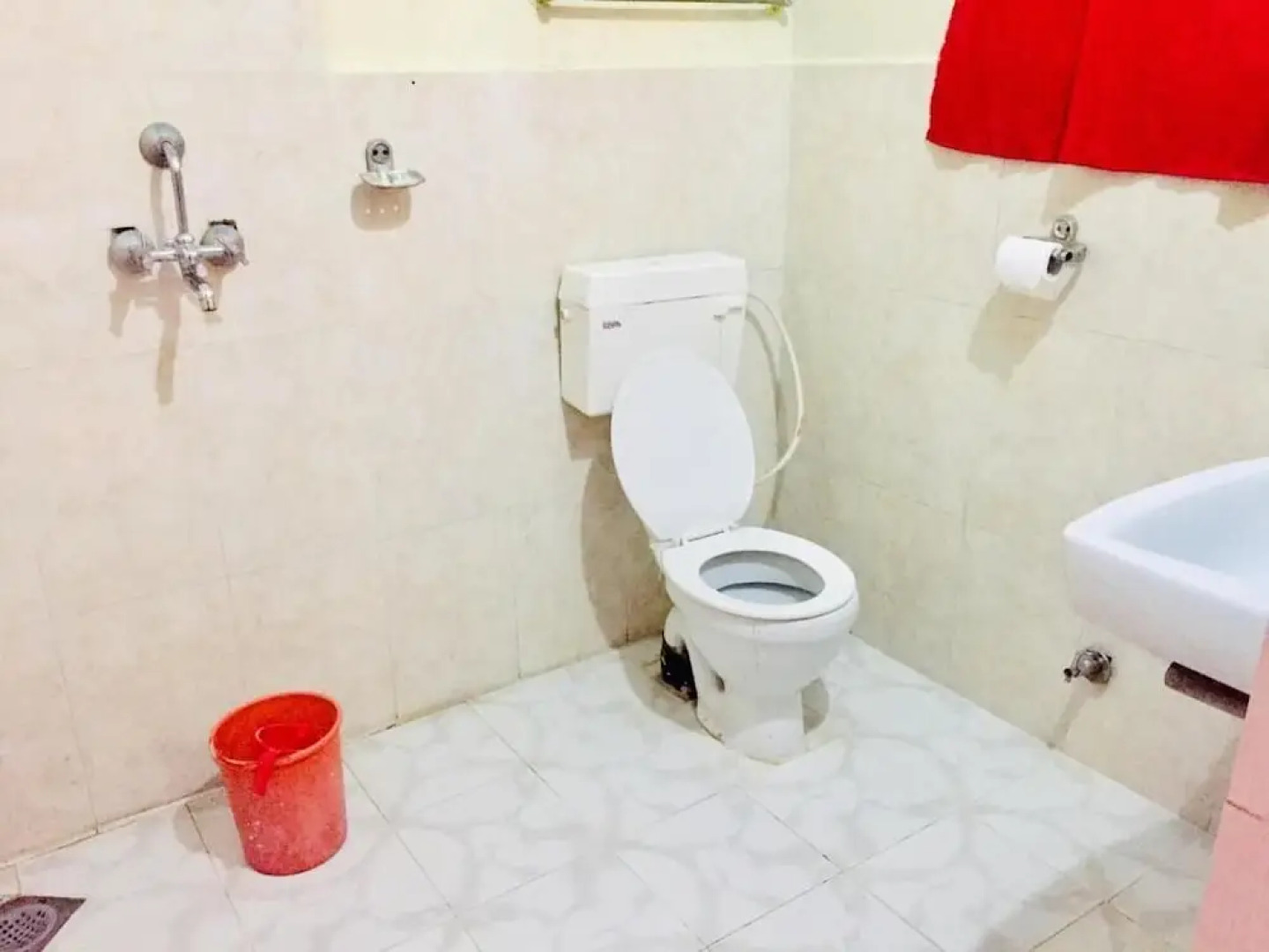 Safari Wildlife Lodge & Camp