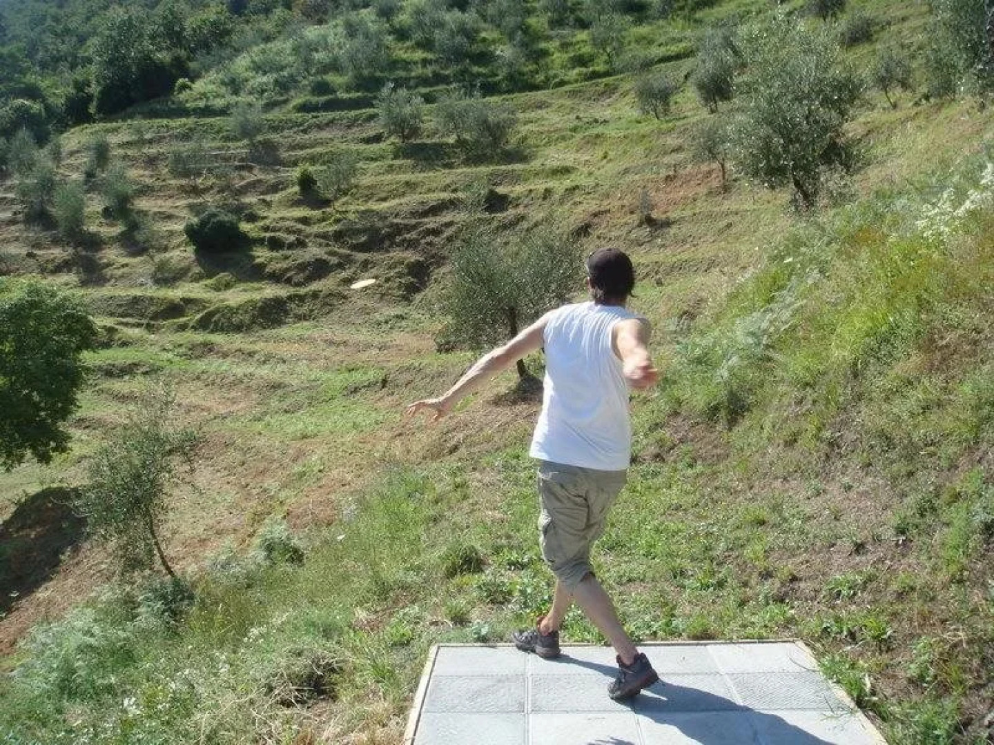 Fattoria di Pietrabuona