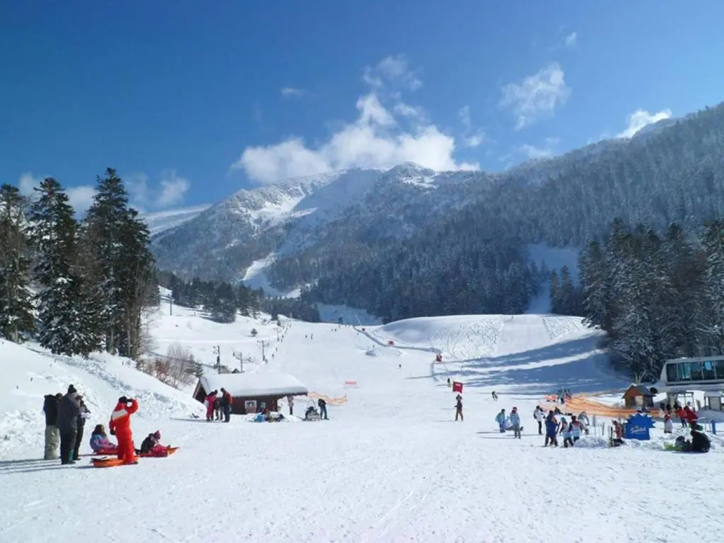 Les Feiches et Marguerites