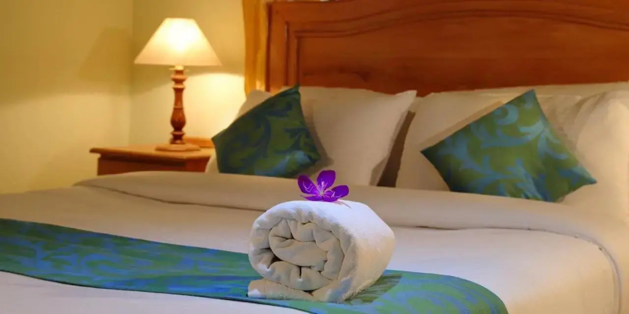 Cassells Jungle Resorts