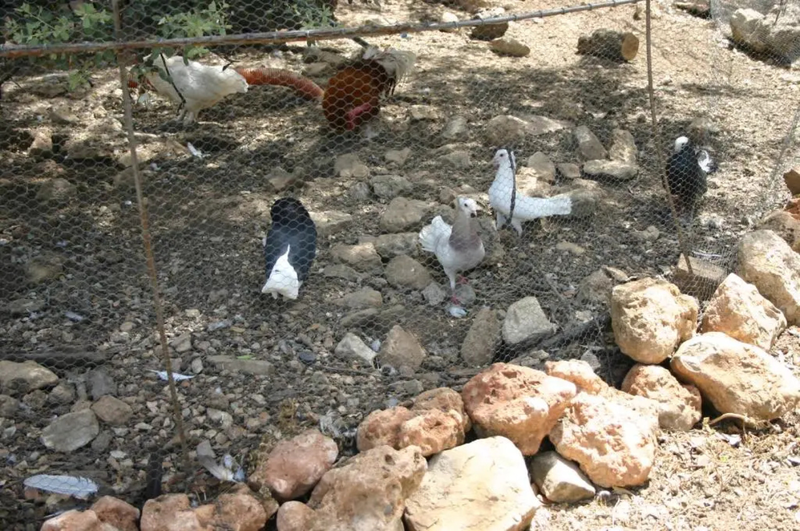 Casas Rurales La Loma Del Carrascal