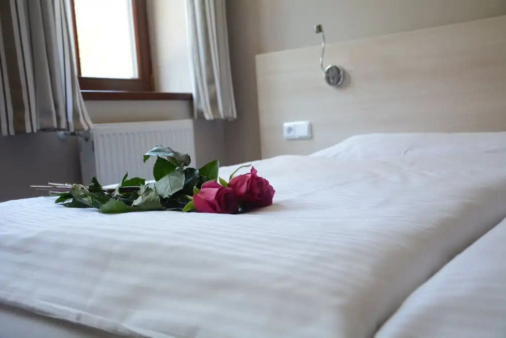 Wellness Hotel Sauna