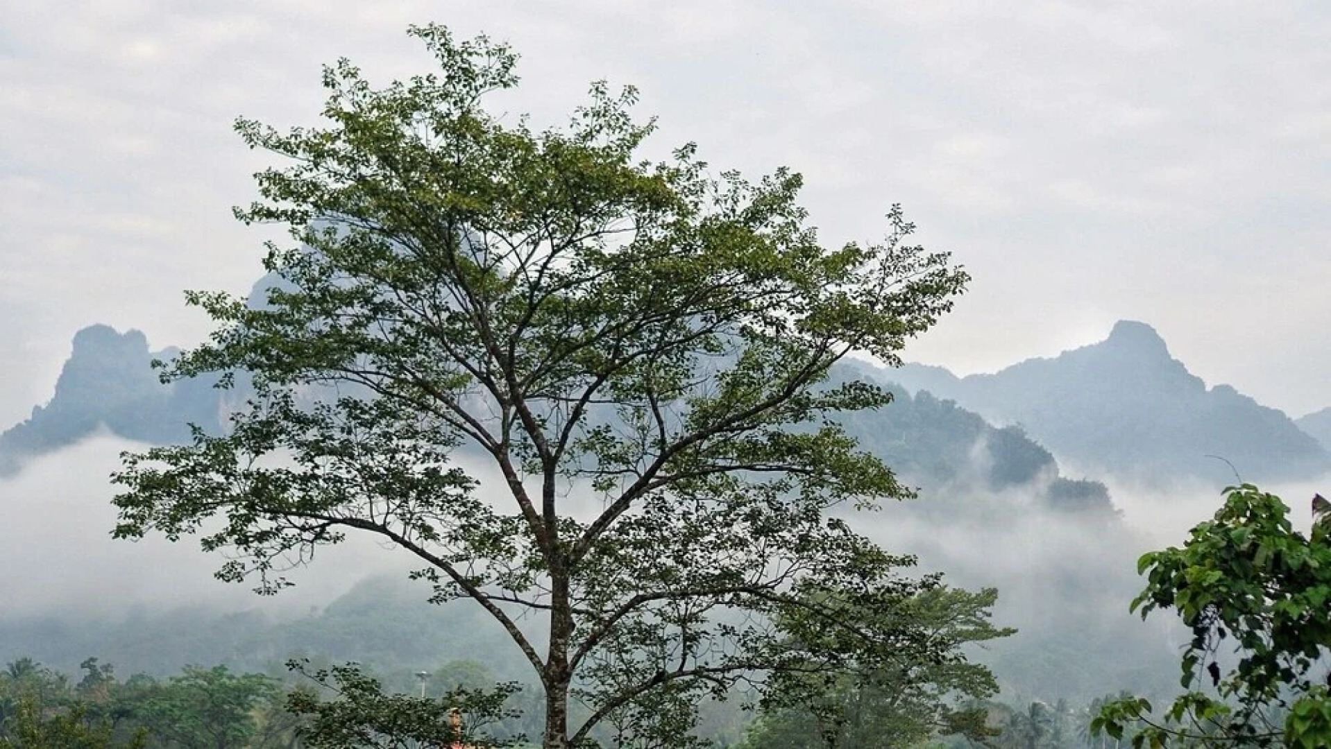 Khaowong Resort Phangnga