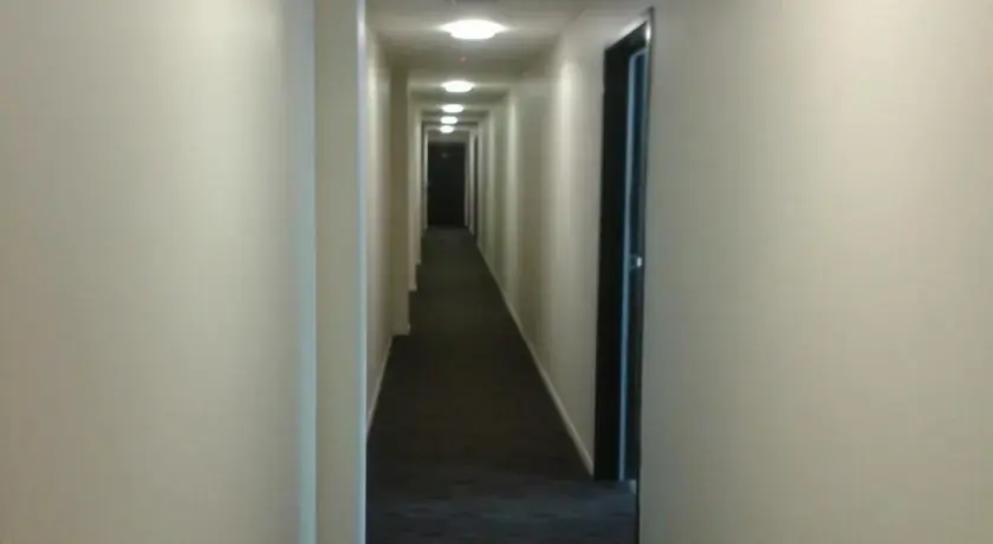 High Class Auckland City Apartment