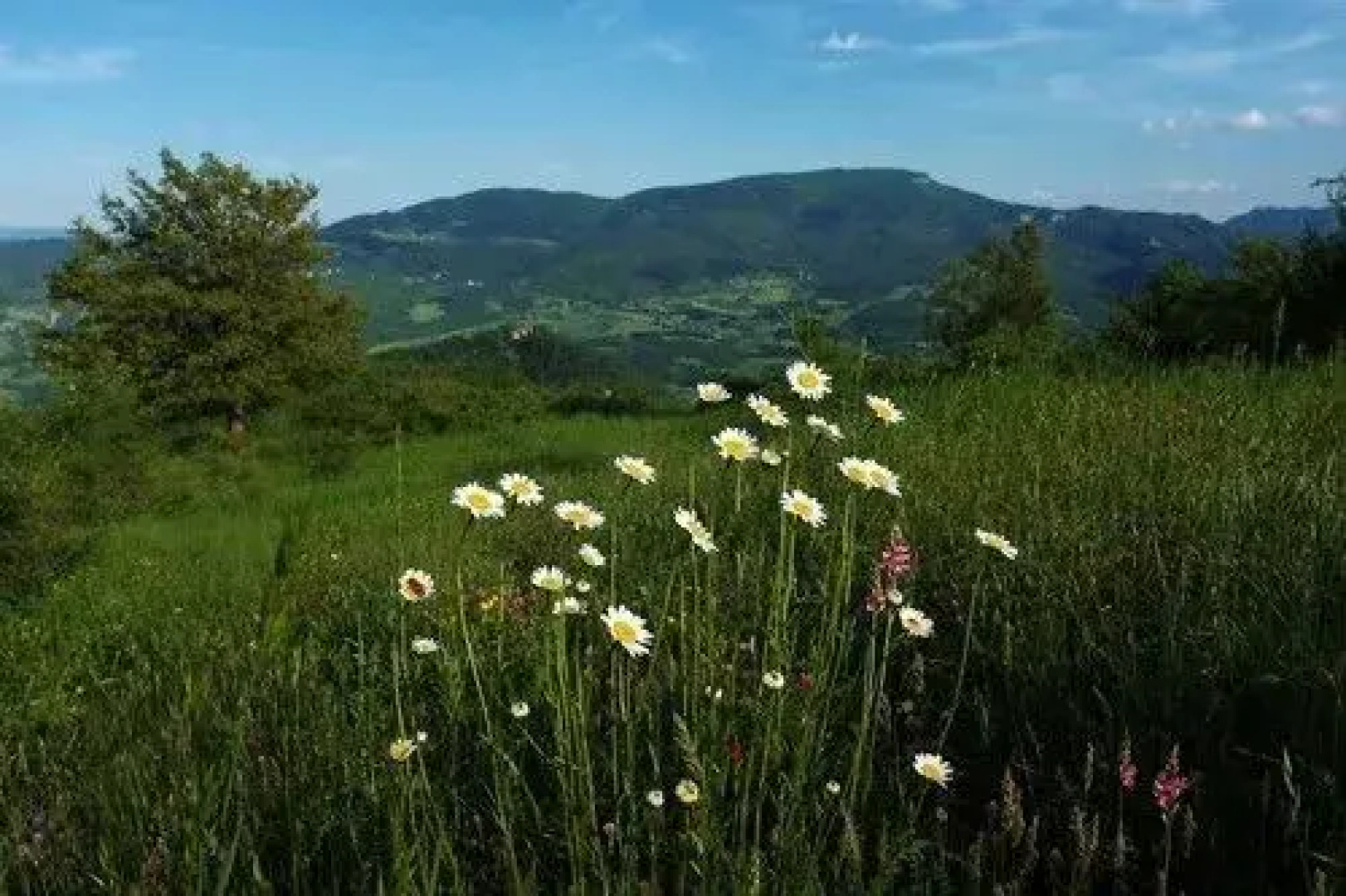 Agriturismo Terrazza sul Parco