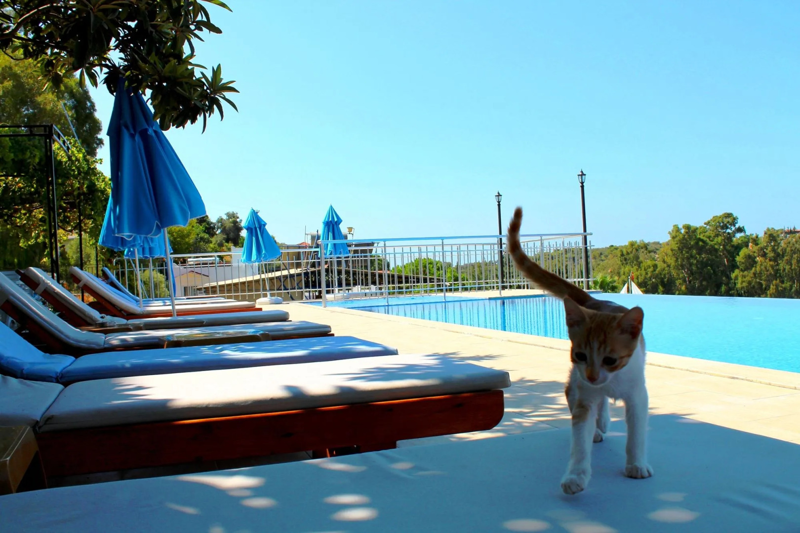 Hotel Patara Sun Club