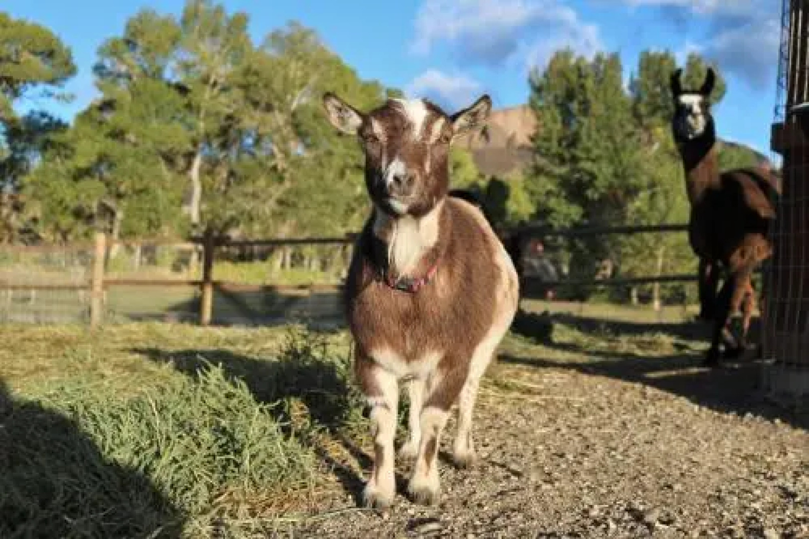 Wheels of Wonderment Guest House