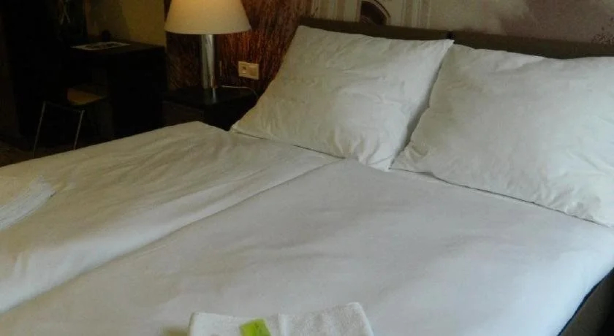 Hotel Bilý Pav