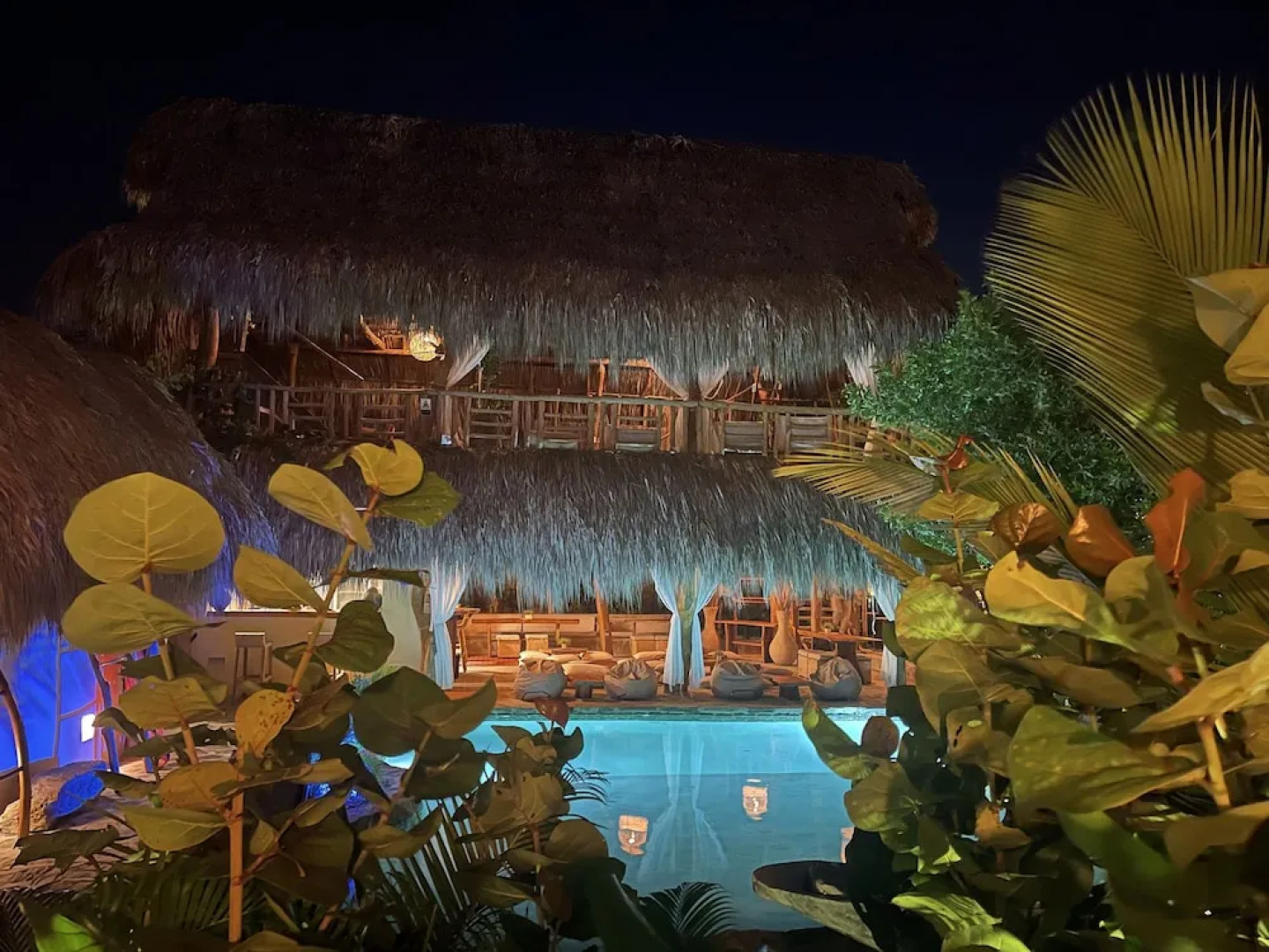 Ecoxata - Adults Only