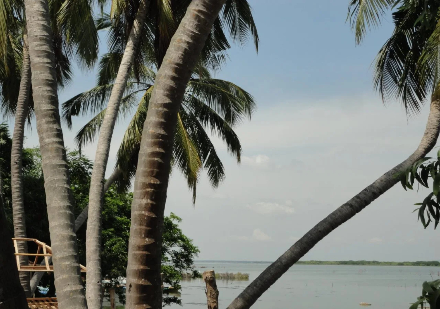 Sunnyfish Hotel & Resort