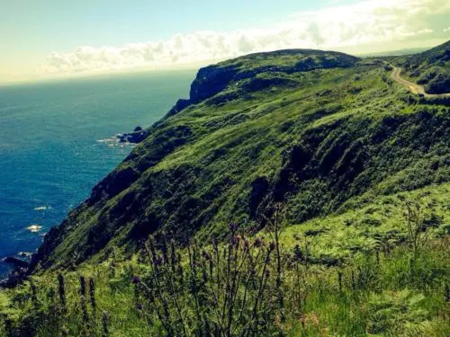 Dunagree Bed & Breakfast