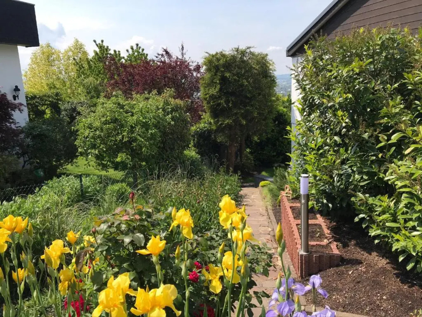 Sunset House - 130 qm Whg. - Vallendar / Koblenz