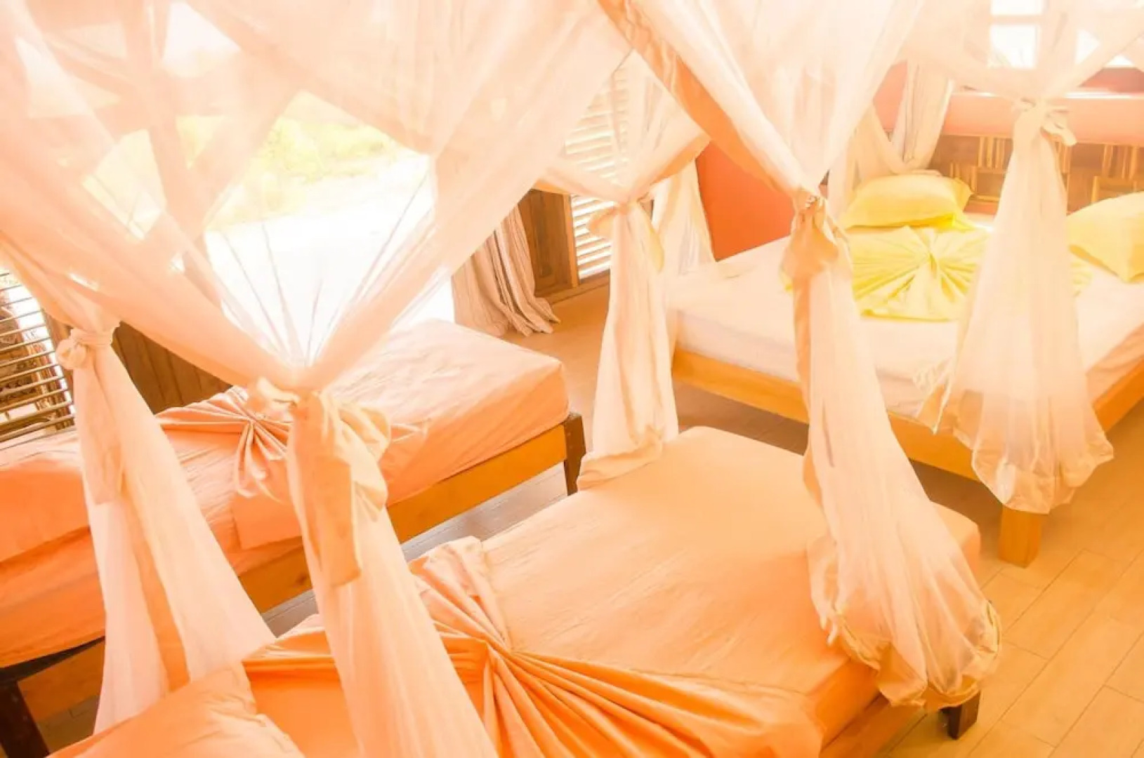 Eden de la Tsiribihina