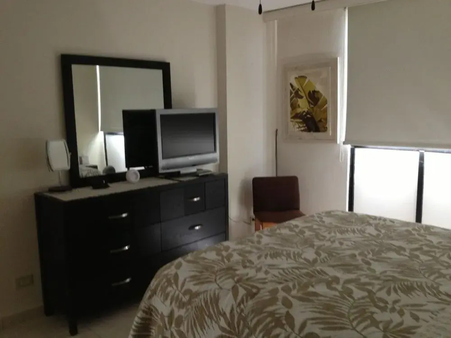 Green Island Apartments - Coral Beach