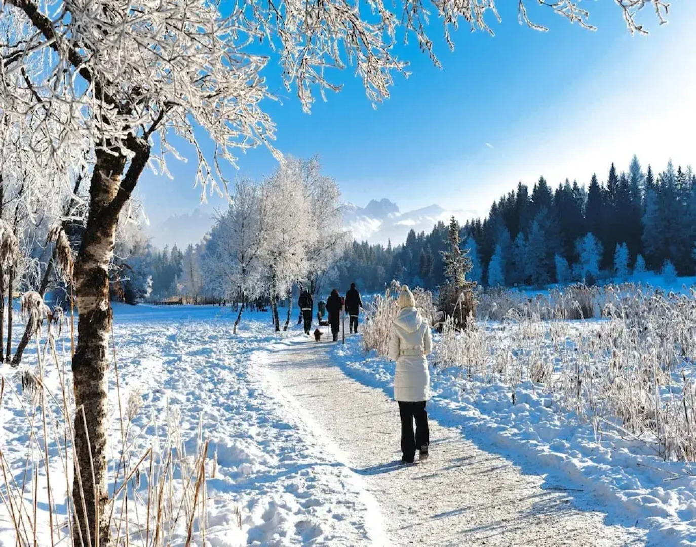 Apartments Home Bergbauernhof Wallnofer