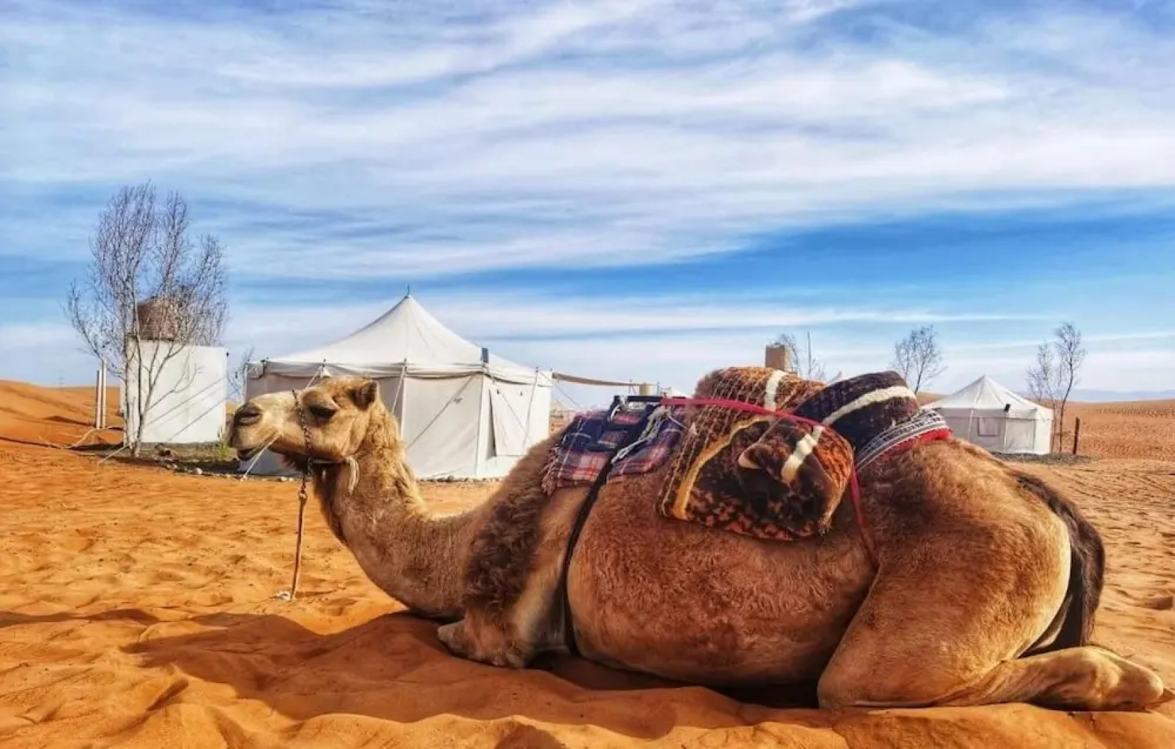 Alsarmadi Desert Camp