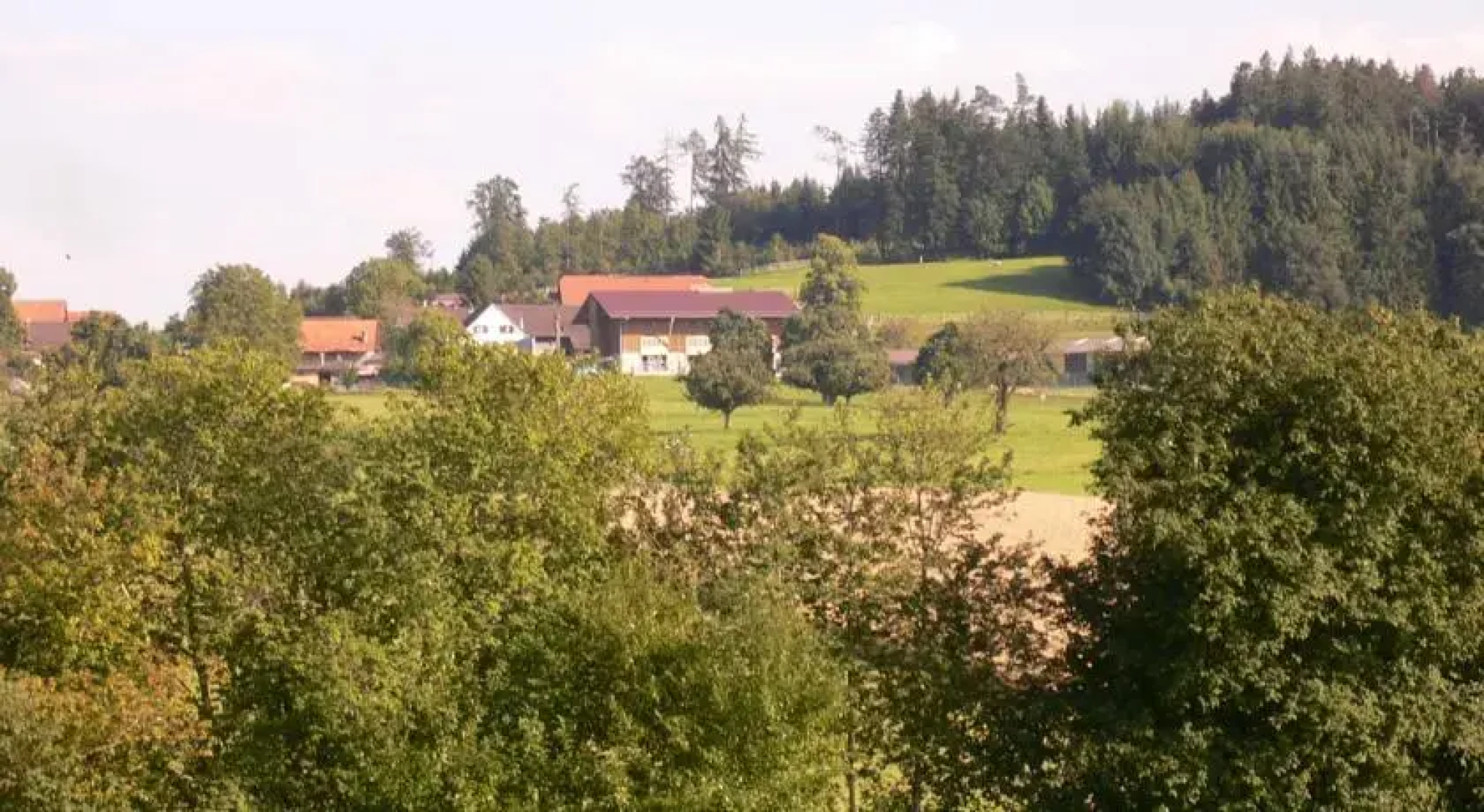 Horsehillcenter