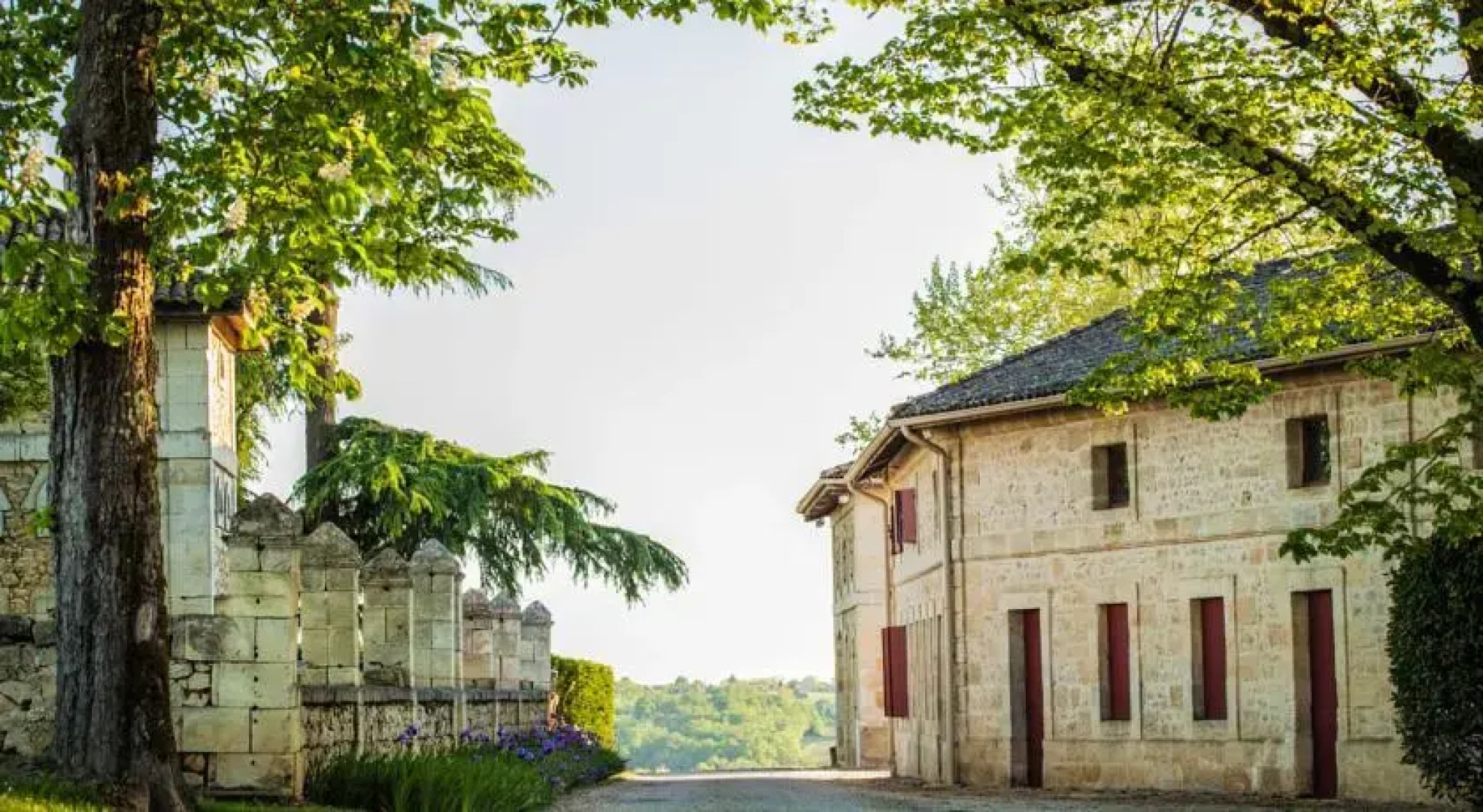 Chambres dHôtes du Château du Grand Mouëys