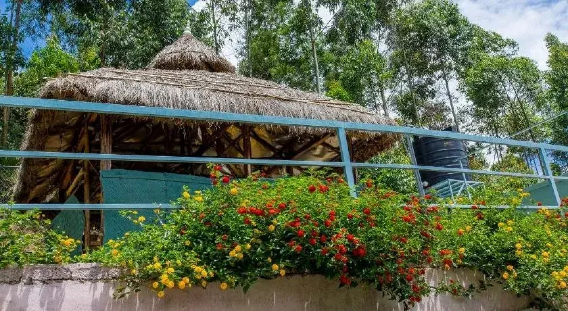 Mountain Hut Resorts