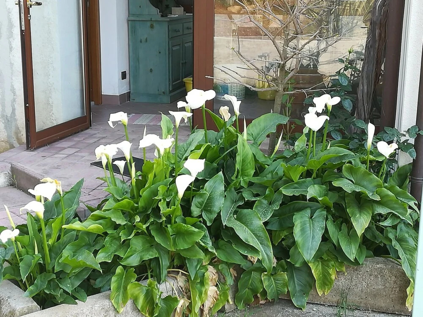 B&B I Giardini Di Lala