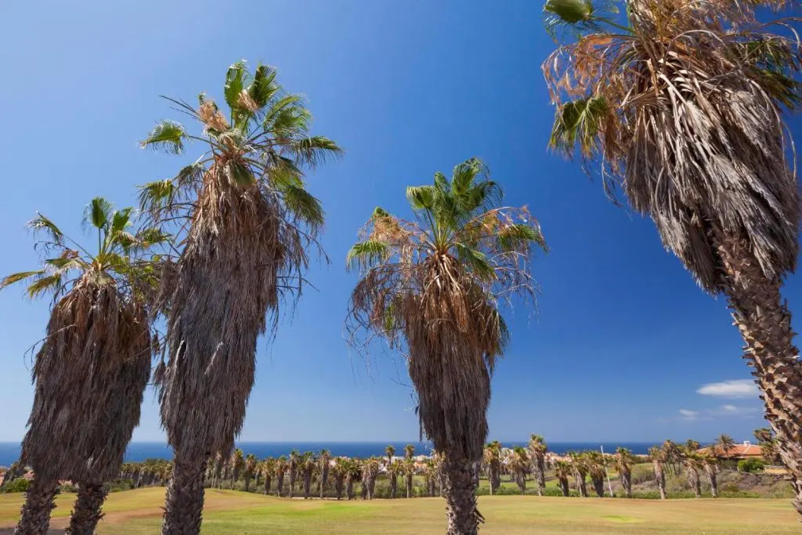 San Andres Resort Villa 06 Golf del Sur