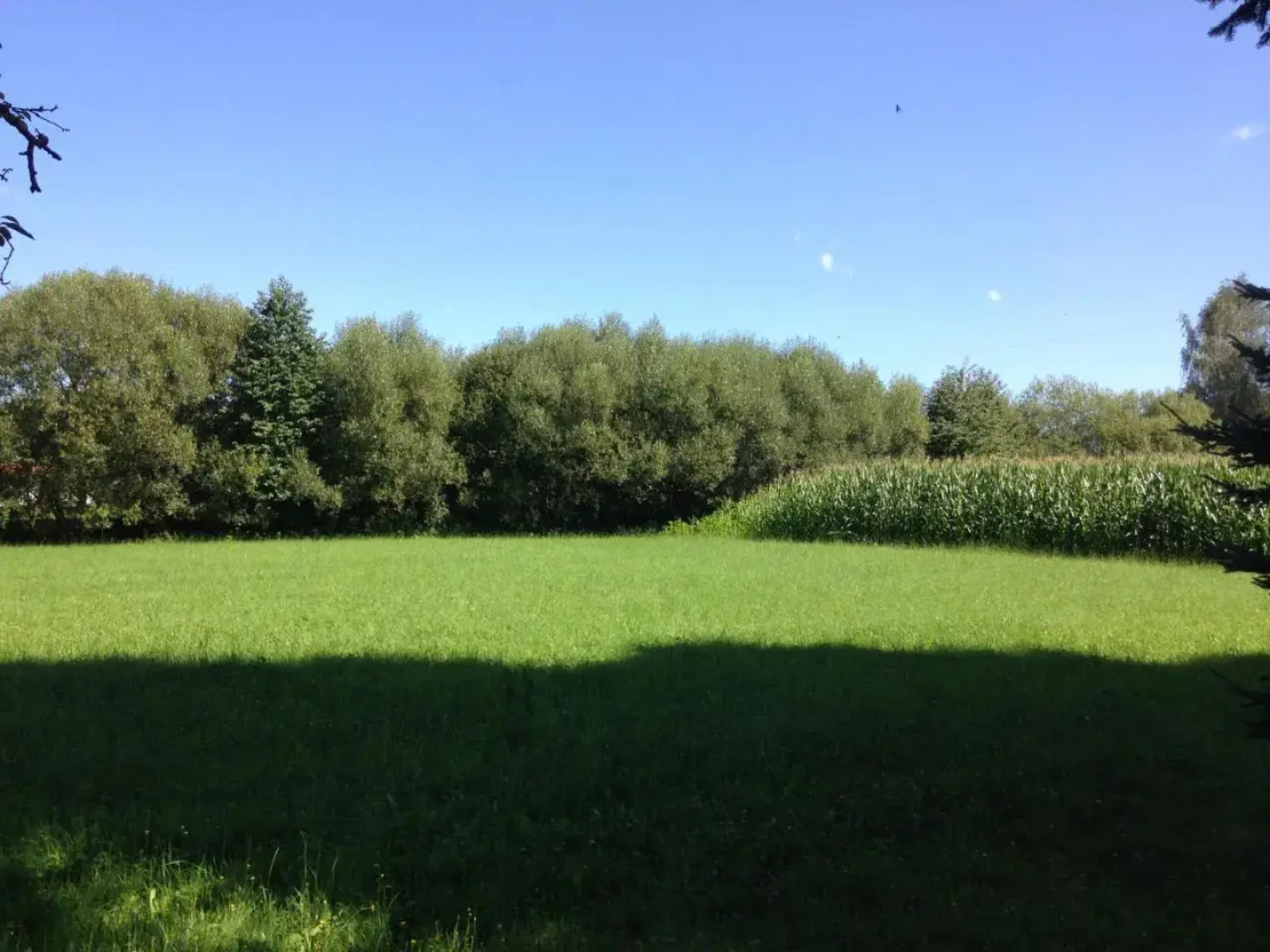 Ferienhaus Murtal