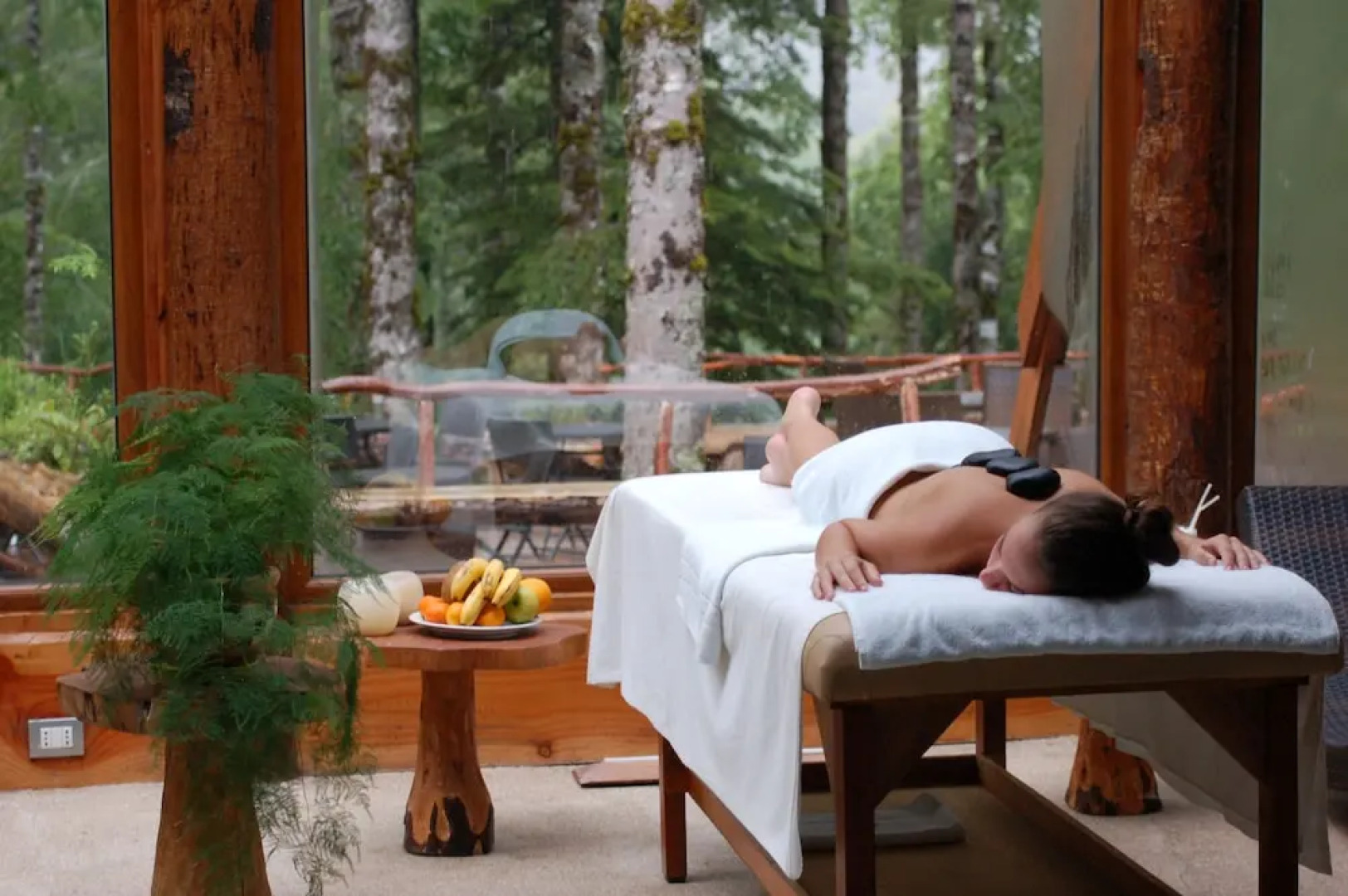 Huilo Huilo Reino Fungi