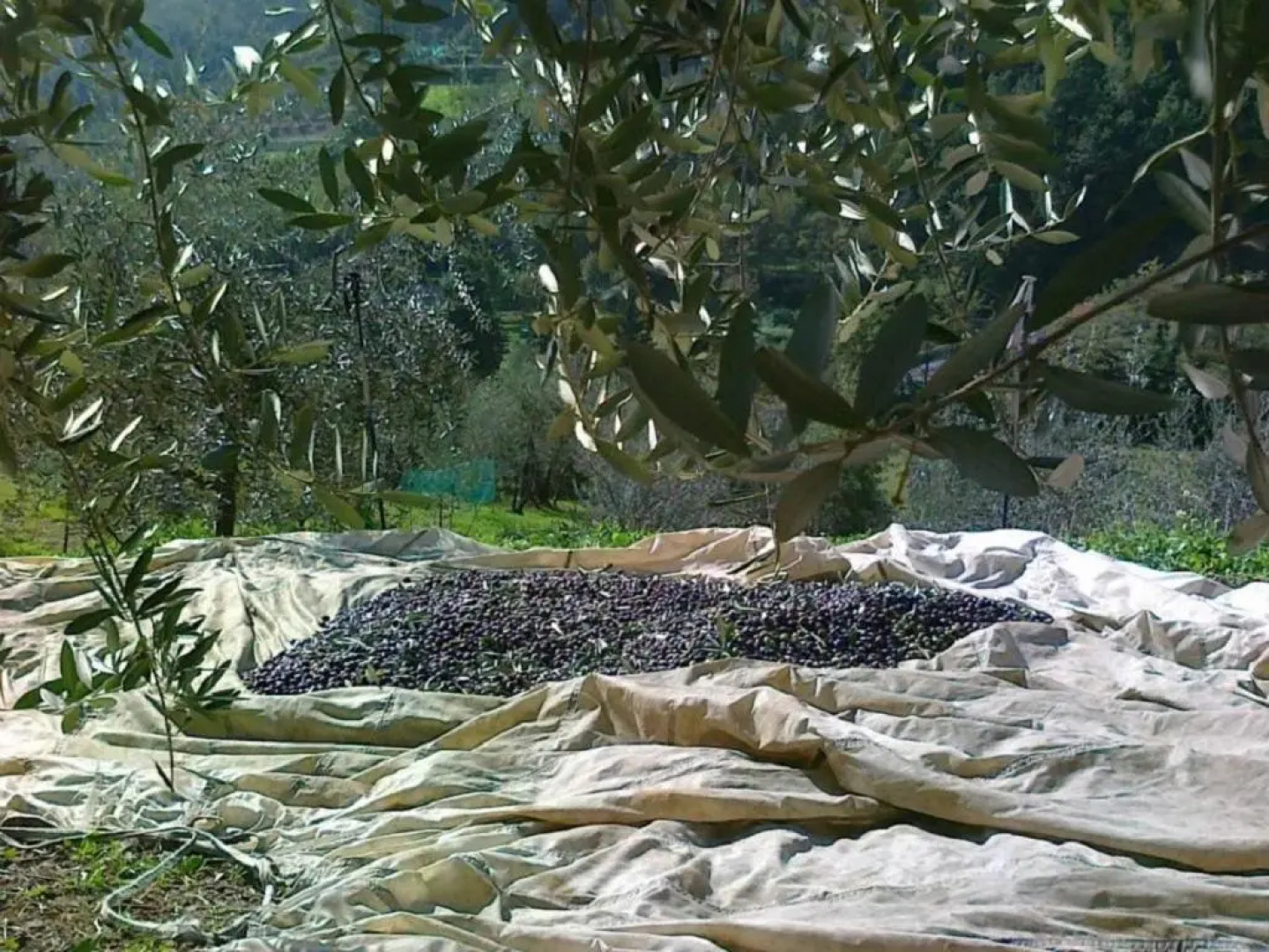 Agriturismo Terra Rossa