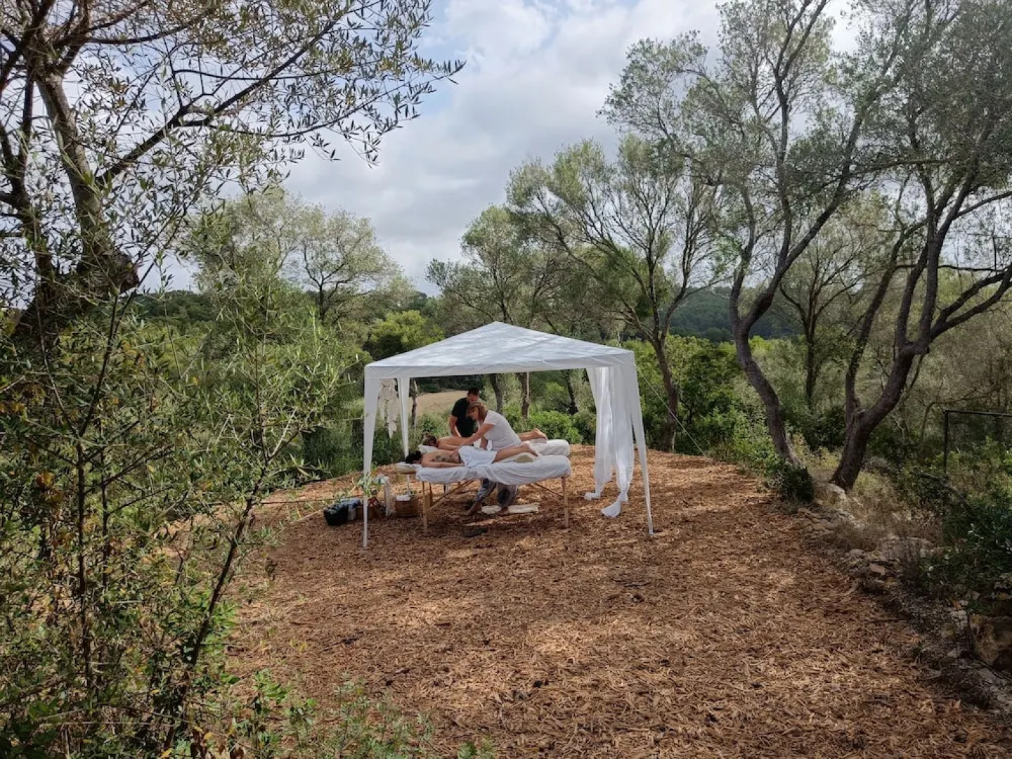 Treurer Olive Grove & Grand House - Adults Only