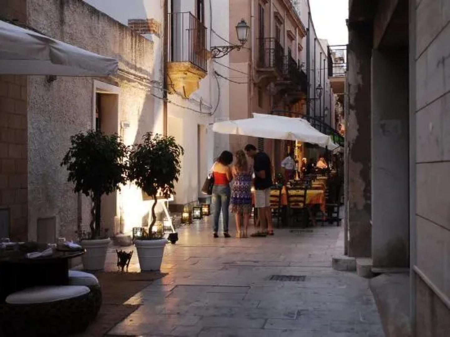 Alloro&Gelsomino