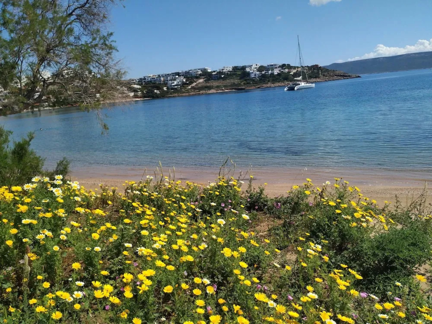 Beautiful Beach House At Sounio