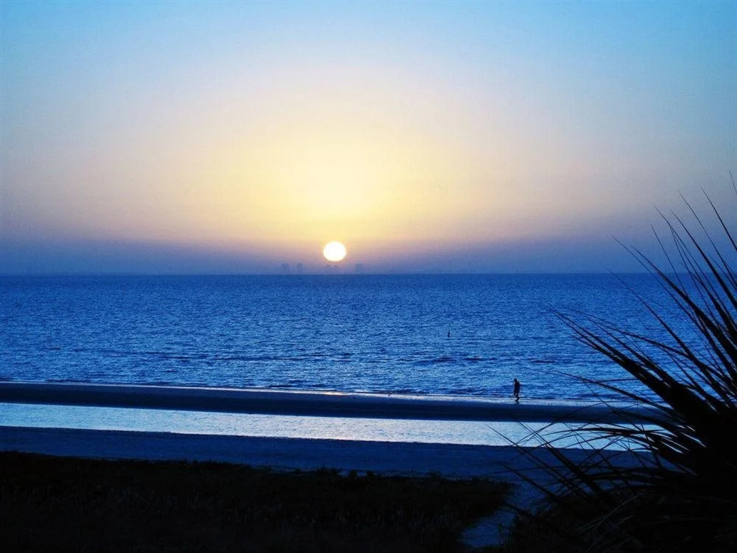 Sandalfoot Beachfront Condominium