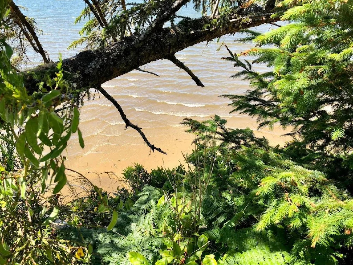 Seagate: Starboard~coos Bay~premiere Property