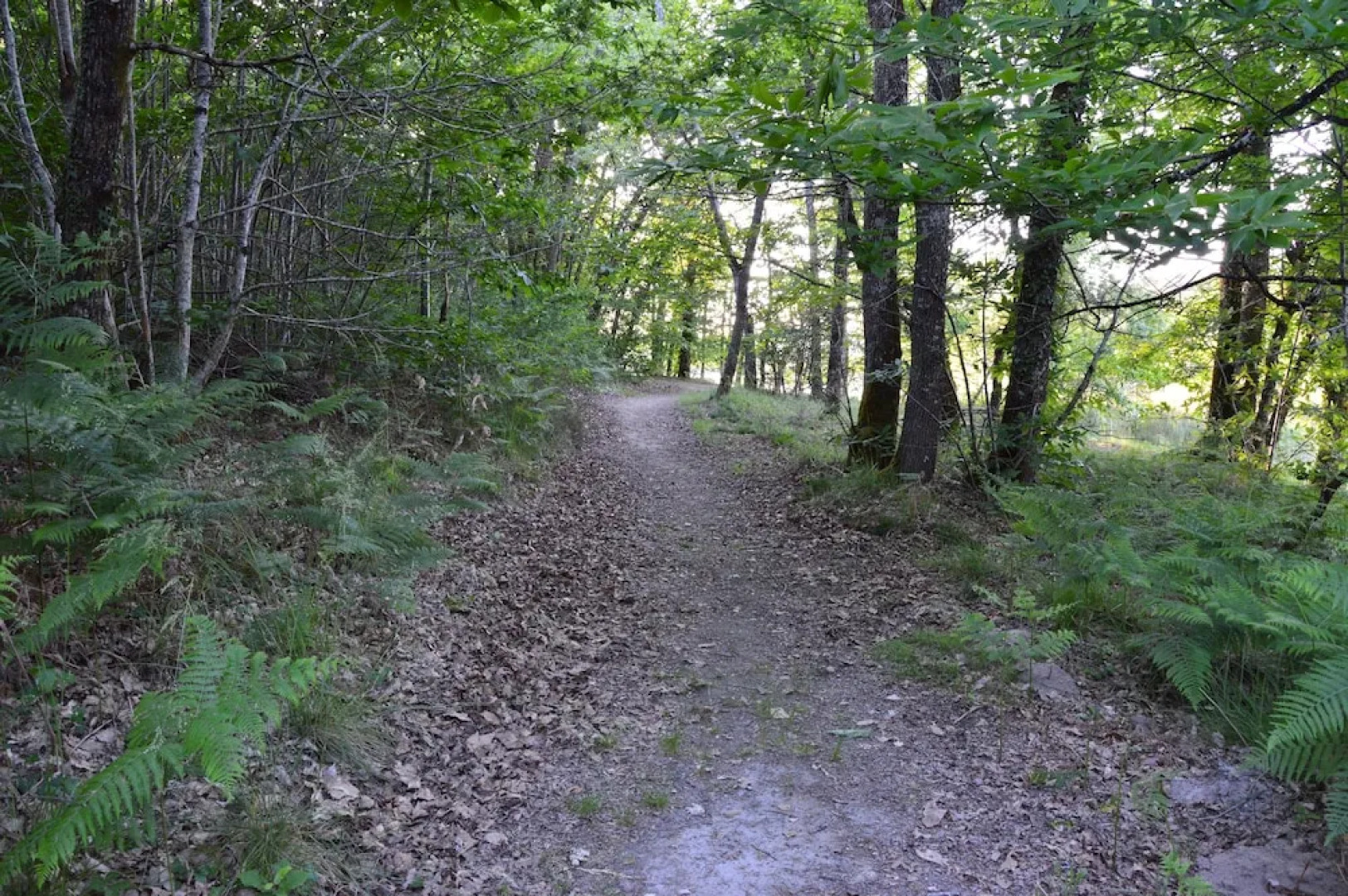 Camping Etang Vallier