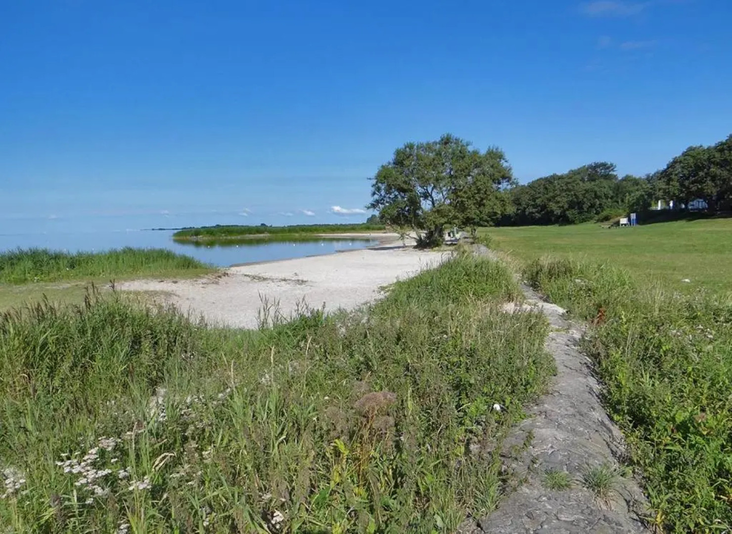 Luxe Safaritent Medley 5 persoons op Camping Rijsterbos
