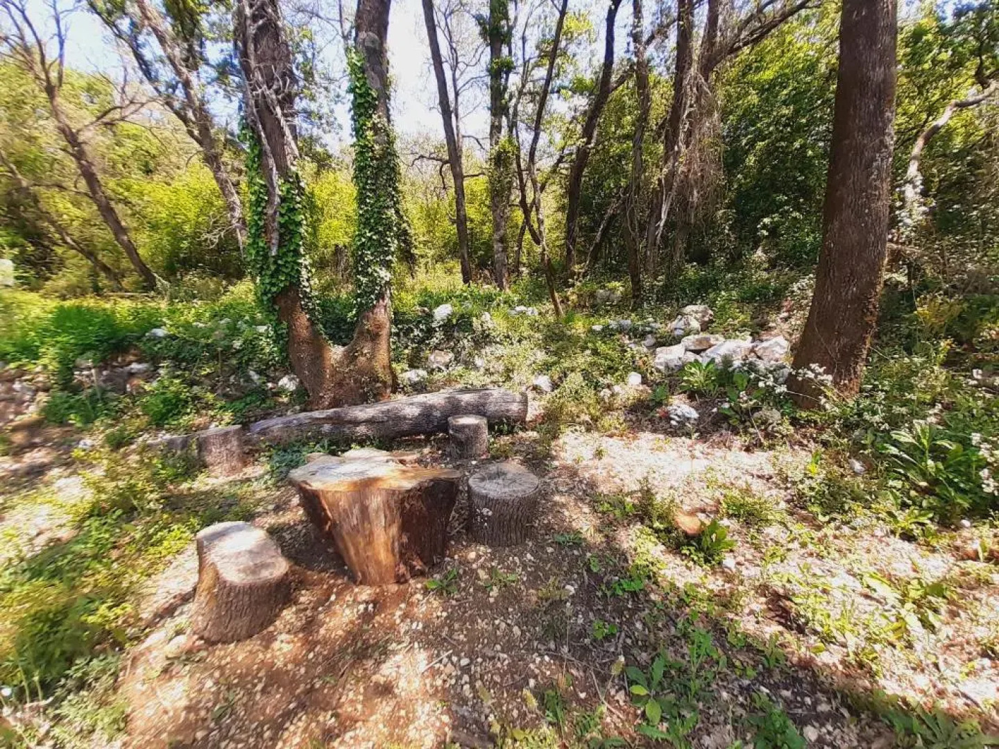 Apartman Macic Dub II