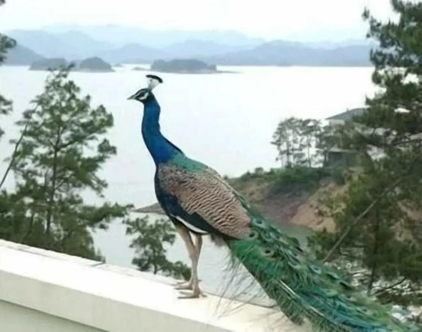 New Century Resort Qiandao Lake Hangzhou