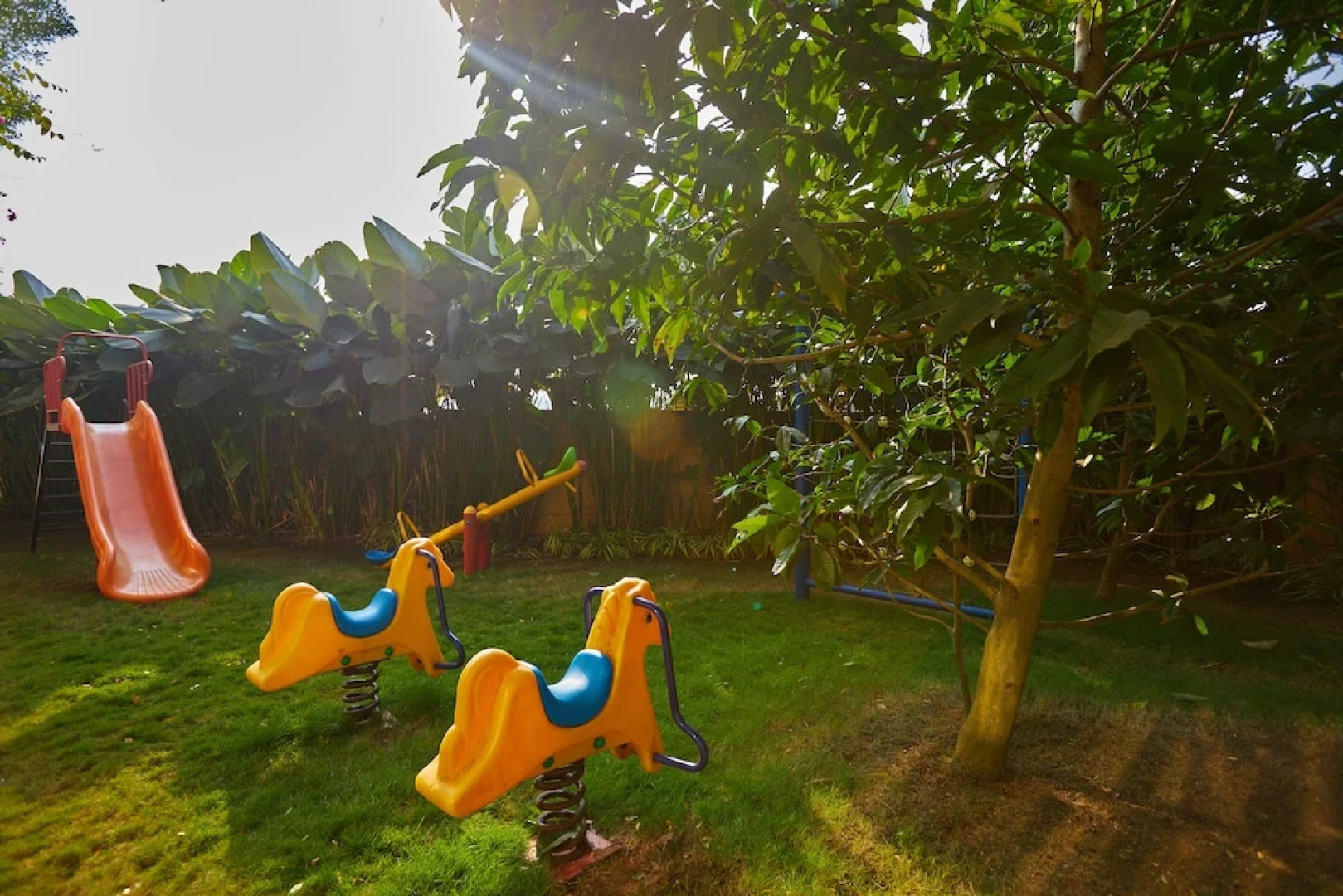 Nanu Resort, Arambol