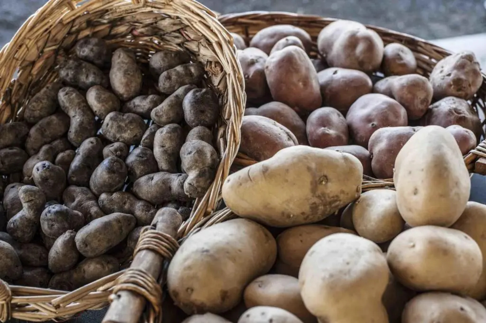 Agriturismo Al Castle