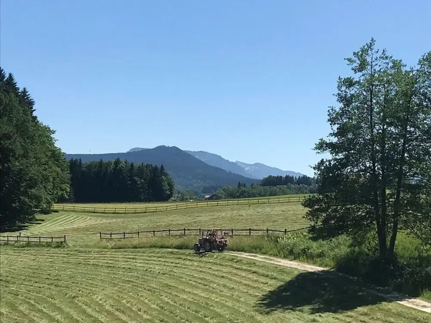 Bergwiesen - Studio House